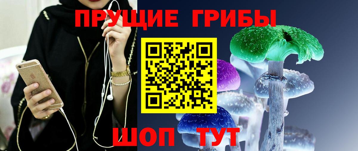 Ухта  Псилоцибиновые грибы MAGIC MUSHROOMS  Вход с VPN 